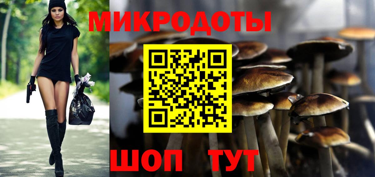 Галлюциногенные грибы мицелий  Псилоцибиновые грибы Psilocybe  Железногорск  Вход с VPN 